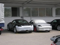 Test mules.jpg